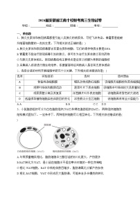 2024届安徽省江南十校联考高三生物试卷(含答案)