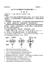 2024届广东省广州市高三一模考试生物试题