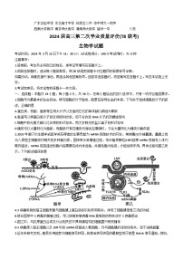 2024届湖北省高三下学期第二次学业质量评价生物试题