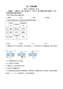 辽宁省七校2023-2024学年高一下学期开学考试生物试卷（Word版含解析）