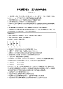 2025届高考生物一轮复习专项练习单元质检卷五遗传的分子基础（Word版附解析）