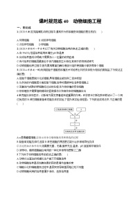 2025届高考生物一轮复习专项练习课时规范练40动物细胞工程（Word版附解析）