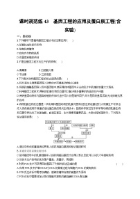 2025届高考生物一轮复习专项练习课时规范练43基因工程的应用及蛋白质工程（含实验）（Word版附解析）