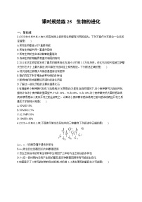 2025届高考生物一轮复习专项练习课时规范练25生物的进化（Word版附解析）