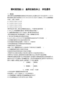 2025届高考生物一轮复习专项练习课时规范练22基因在染色体上伴性遗传（Word版附解析）