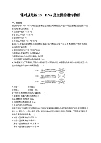 2025届高考生物一轮复习专项练习课时规范练15DNA是主要的遗传物质（Word版附解析）