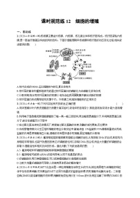 2025届高考生物一轮复习专项练习课时规范练12细胞的增殖（Word版附解析）