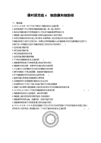 2025届高考生物一轮复习专项练习课时规范练4细胞膜和细胞核（Word版附解析）