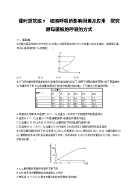 2025届高考生物一轮复习专项练习课时规范练9细胞呼吸的影响因素及应用探究酵母菌细胞呼吸的方式（Word版附解析）