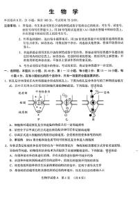 广东省广州市2024届高三下学期一模考试生物试题