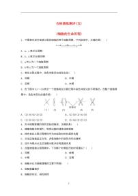 2024届高考生物学业水平测试复习合格演练测评五细胞的生命历程