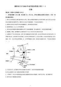 2024届湖南省衡阳市雁峰区衡阳市八中高三高考适应性练习（一）生物试题无答案