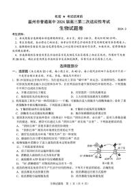 2024届浙江省温州市普通高中高三第二次适应性考试-生物试题及答案