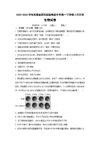 河南省新乡市原阳县实验高级中学2023-2024学年高一下学期3月月考生物试题