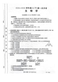 河北省邢台市五岳联盟2023-2024学年高二下学期3月月考生物试卷（PDF版附答案）