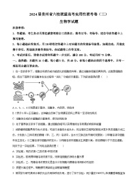 贵州省六校联盟2024届高三下学期高考实用性联考（三）（三模）生物试卷（Word版附解析）