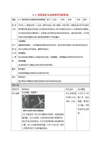 人教版 (2019)必修2《遗传与进化》第4节 协同进化与生物多样性的形成教学设计