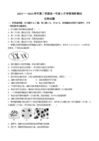 江苏省扬州市高邮市2023-2024学年高一下学期3月月考生物试题