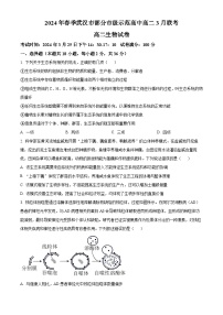 2024届湖北省武汉市黄陂区部分学校高二下学期3月联考生物试卷（原卷版+解析版）