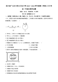 四川省广元市川师大万达中学2023-2024学年高一下学期3月月考生物试题（原卷版+解析版）