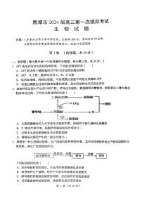 2024届江西省鹰潭市高三下学期第一次模拟考试（鹰潭一模）生物试题及答案