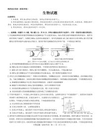 名校教研联盟2024届高三下学期3月联考（新高考卷）生物试题及答案