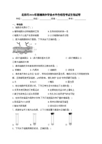 北京市2024年普通高中学业水平合格性考试生物试卷(含答案)