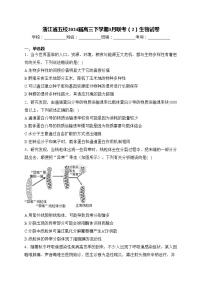 浙江省五校2024届高三下学期3月联考（2）生物试卷(含答案)