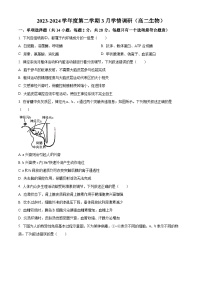 江苏省镇江市六校联考2023-2024学年高二下学期3月月考生物试题（原卷版+解析版）