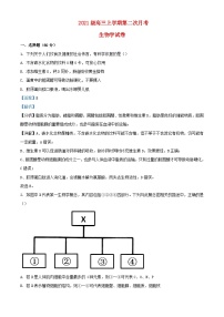 内蒙古赤峰市2023_2024学年高三生物上学期10月月考试题含解析