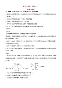 新疆生产建设兵团2022_2023学年高三生物上学期11月月考试题含解析