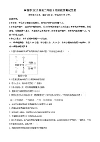 河北省承德市2023-2024学年高二下学期3月阶段性测试联考生物试卷（原卷版+解析版）