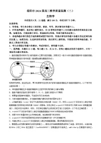 2024届湖南省岳阳市高三下学期教学质量监测（二）生物试题