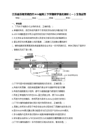 江苏省苏锡常镇四市2024届高三下学期教学情况调研（一）生物试卷(含答案)