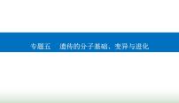 2024届高考生物二轮复习专题五遗传的分子基础、变异与进化第8讲生物的变异与进化课件