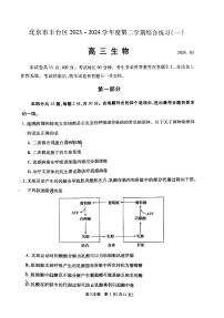 2024北京丰台高三一模生物试卷和答案