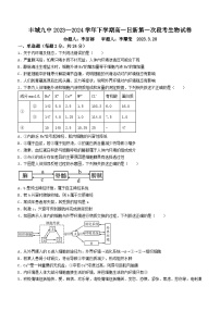 江西省宜春市丰城市第九中学2023-2024学年高一下学期第一次月考生物试题（日新班）