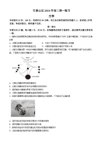 2024届北京市石景山区高三一模生物试题