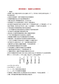 2025届高考生物一轮复习专项练习课时规范练5细胞器与生物膜系统