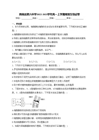 辉南县第六中学2022-2023学年高一上学期周测生物试卷(含答案)