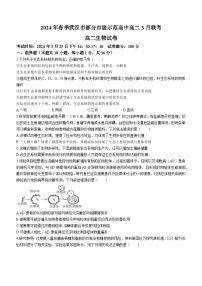 2024届湖北省武汉市黄陂区部分学校高二下学期3月联考生物试卷(无答案)