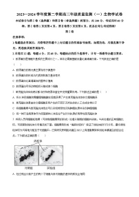 天津市南开区2023-2024学年高三下学期一模试题 生物试题含答案