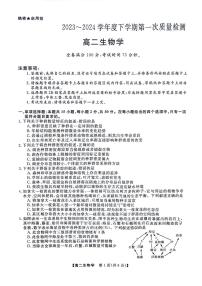 河南省部分重点高中2023—2024学年高二下学期4月质量检测生物试题