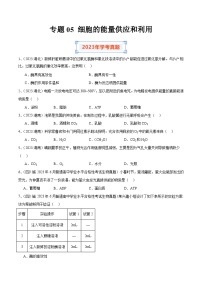 专题05 细胞的能量供应和利用-备战2024年高中学业水平考试生物真题分类汇编