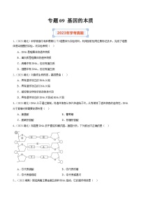 专题09 基因的本质-备战2024年高中学业水平考试生物真题分类汇编