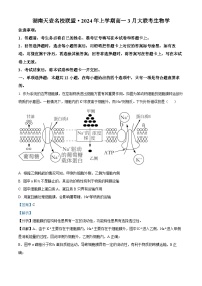 湖南省衡阳市2023-2024学年高一下学期3月联考生物试卷（Word版附解析）