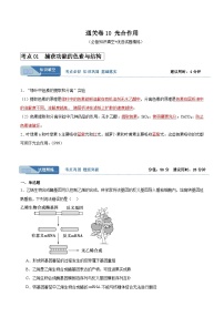 2024年高考生物一轮复习考点通关卷(新高考通用)考点通关卷10光合作用(原卷版+解析)