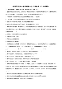 山东省临沂市兰山区临沂第四中学2023-2024学年高一下学期3月月考生物试题（原卷版+解析版）