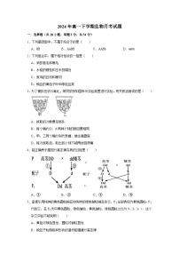 湖南省岳阳市岳阳县第一中学2023-2024学年高一下学期3月月考生物试题（Word版附答案）