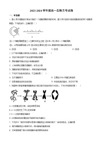 甘肃省白银市靖远县第四中学2023-2024学年高一下学期4月月考生物试题（原卷版+解析版）